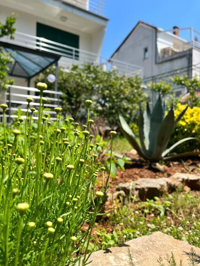 Lemon Tree Apartments Zadar Ngoại thất bức ảnh