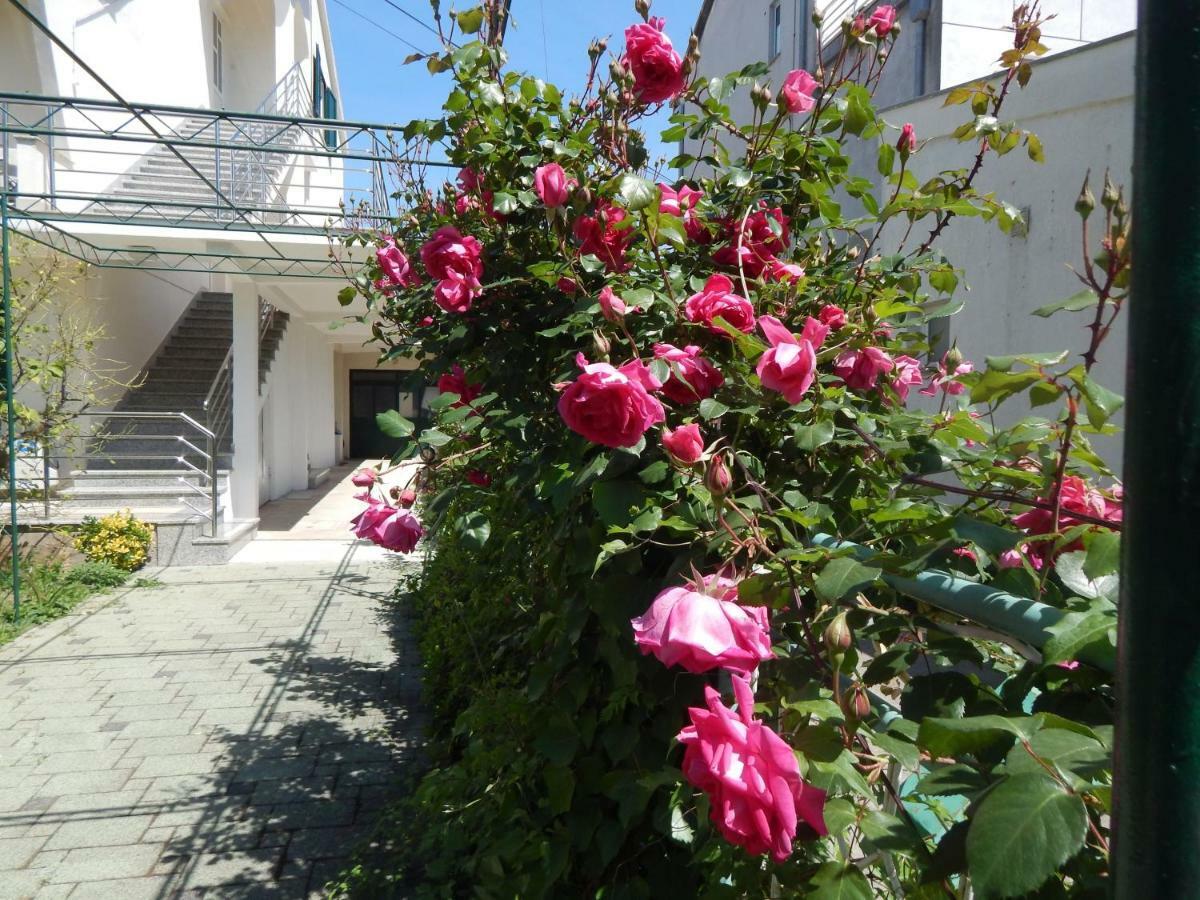 Lemon Tree Apartments Zadar Ngoại thất bức ảnh