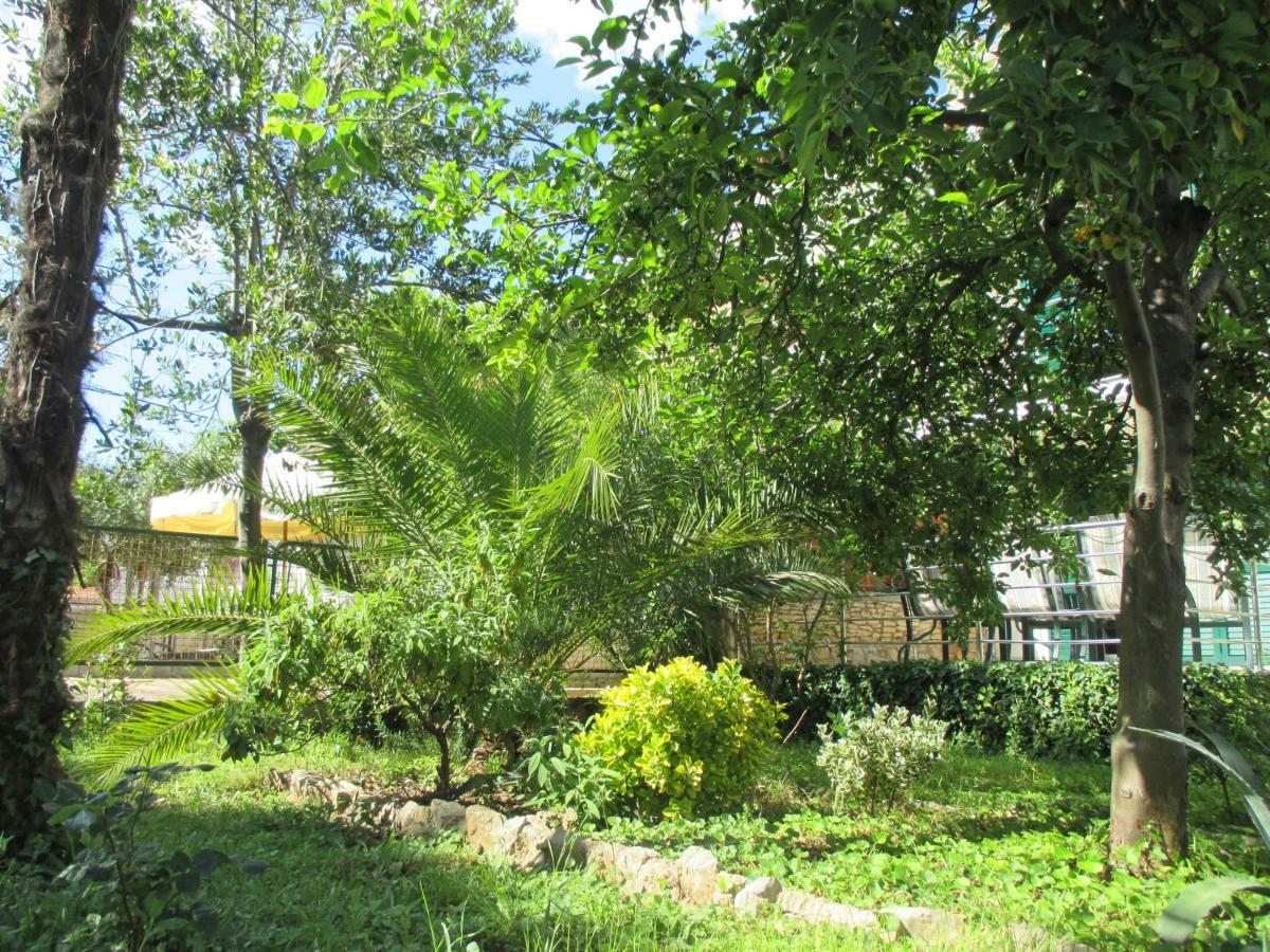 Lemon Tree Apartments Zadar Ngoại thất bức ảnh